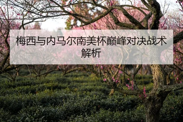 梅西与内马尔南美杯巅峰对决战术解析